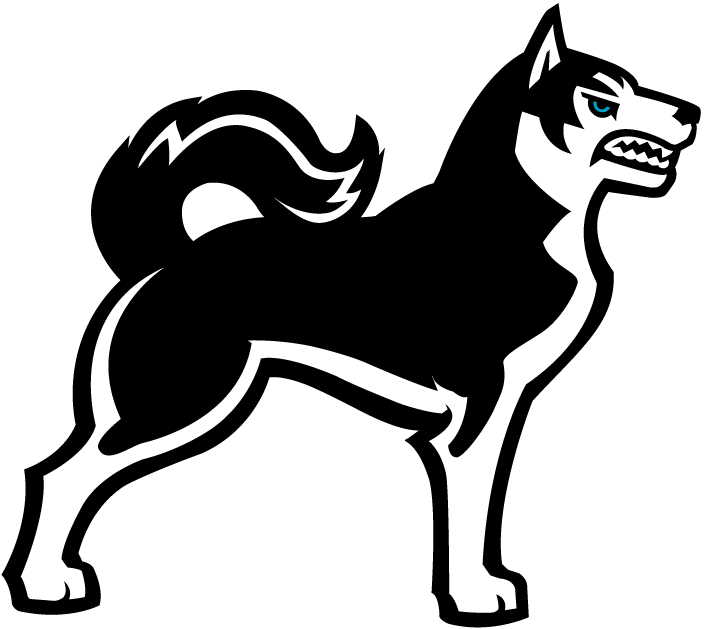 Northeastern Huskies 2001-2006 Alternate Logo v3 DIY iron on transfer (heat transfer)